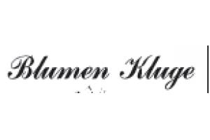 docs/slide_kluge.png
