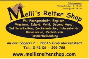 docs/slide_melli.jpg