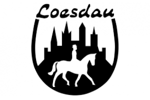 docs/slide_loesdau.png
